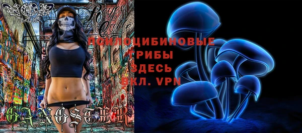 ешки Магас