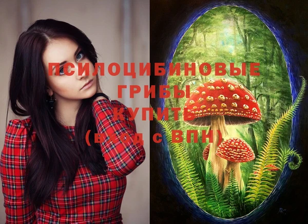 MESCALINE Мегион