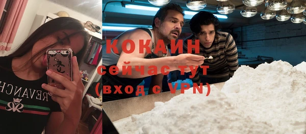 спиды Волосово