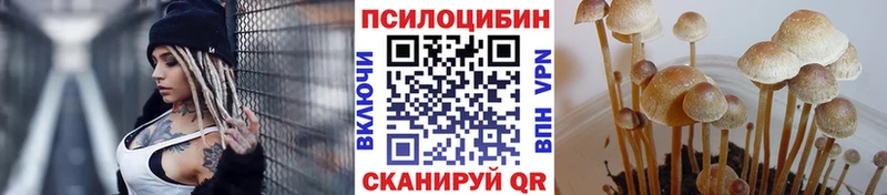 Галлюциногенные грибы Psilocybe  как найти закладки  Киров 