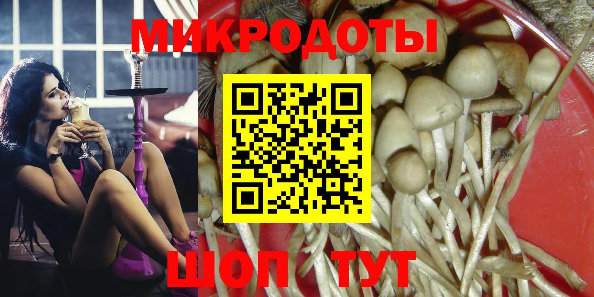 Галлюциногенные грибы Psilocybe  сколько стоит  Галлюциногенные грибы мицелий  Киров 