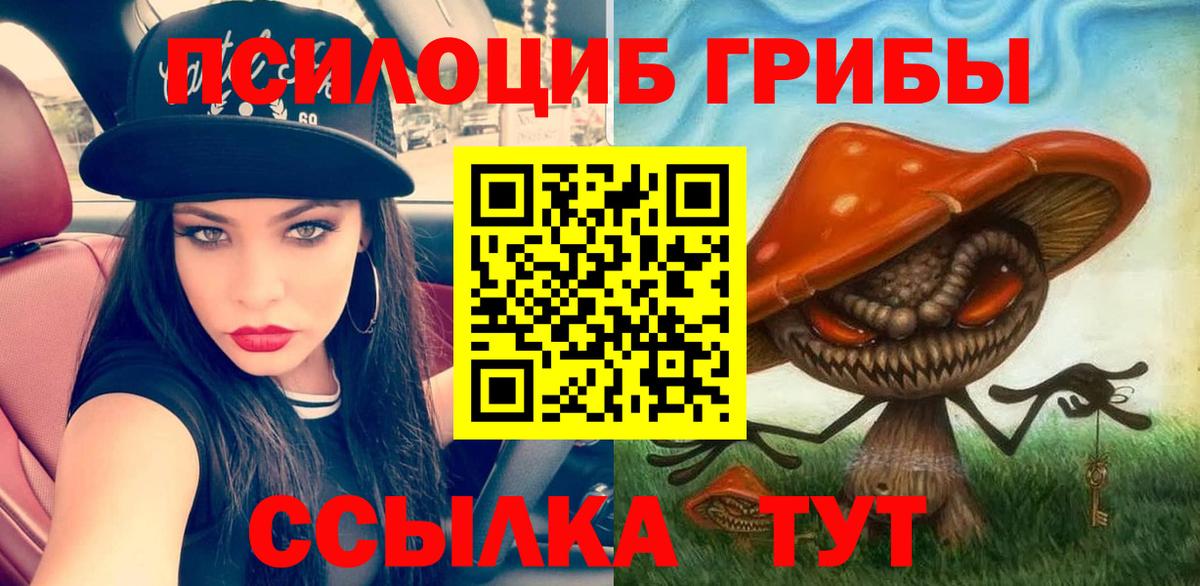 Галлюциногенные грибы Magic Shrooms  Вход с VPN  Киров  Псилоцибиновые грибы мухоморы 