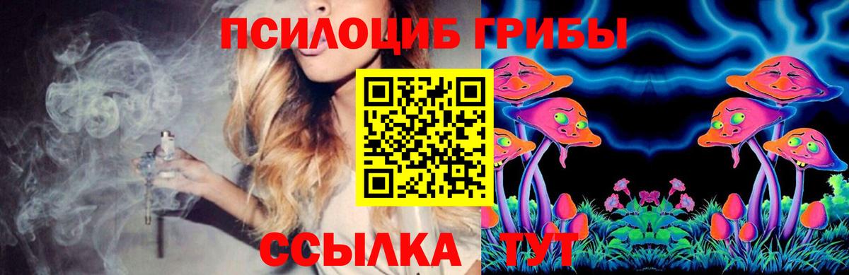 Псилоцибиновые грибы Psilocybine cubensis Киров